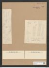 Synedra sp. (de-Toni-Nr.: Genus 66) Zeichnungen Sammlung Grunow Nr. 5428 (NHMW-BOT-W0373524)